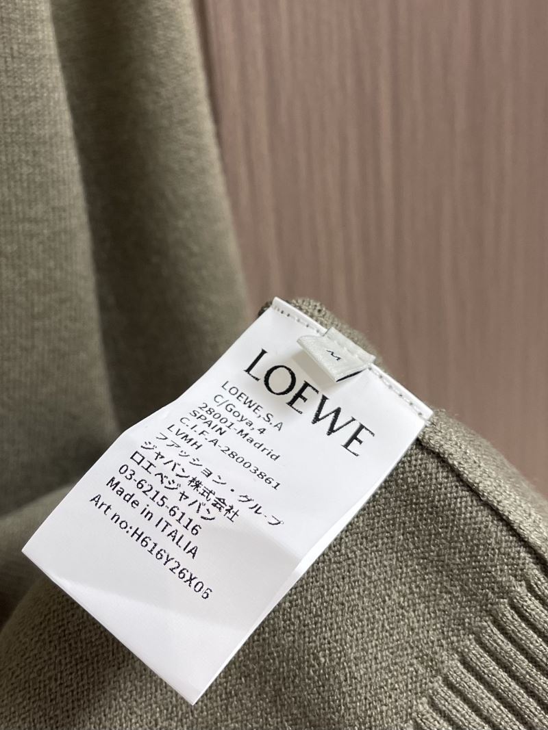 Loewe Sweaters